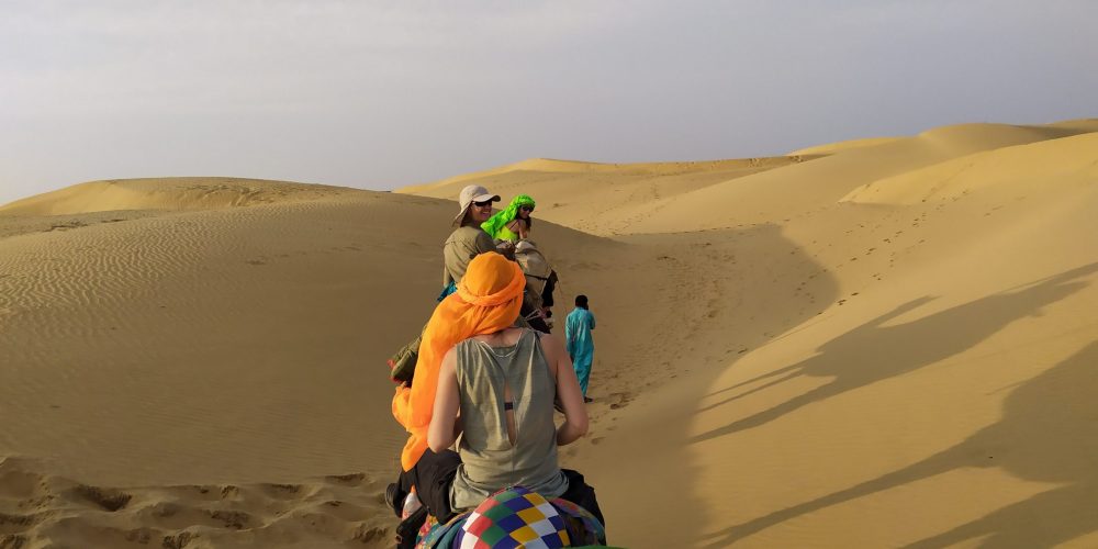 img_20191121_170541 Le Camel Safari et le chamelier