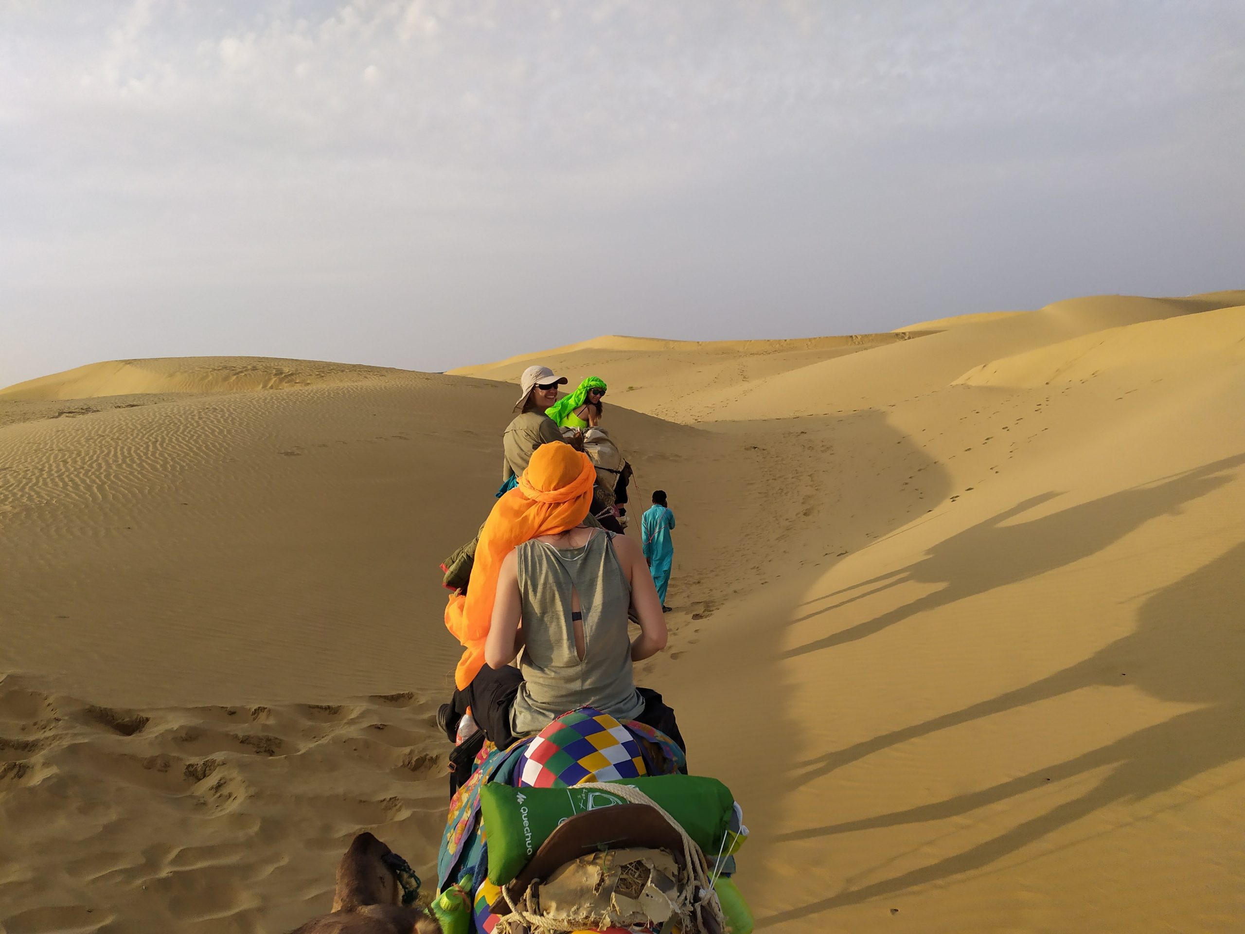 Le Camel Safari et le chamelier